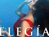 Todo sobre última entrega Canción Amanda Hocking