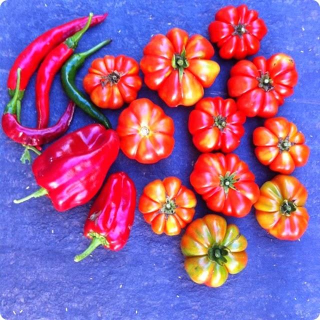 DE LA HUERTA AL PLATO