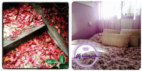 15 cosas sobre mí 15 cosas sobre mí