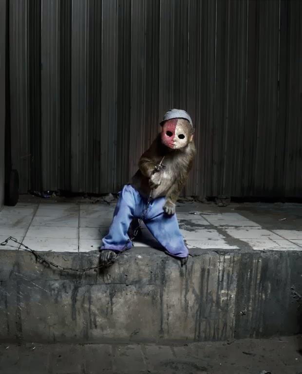 Los monos con mascaras de Indonesia