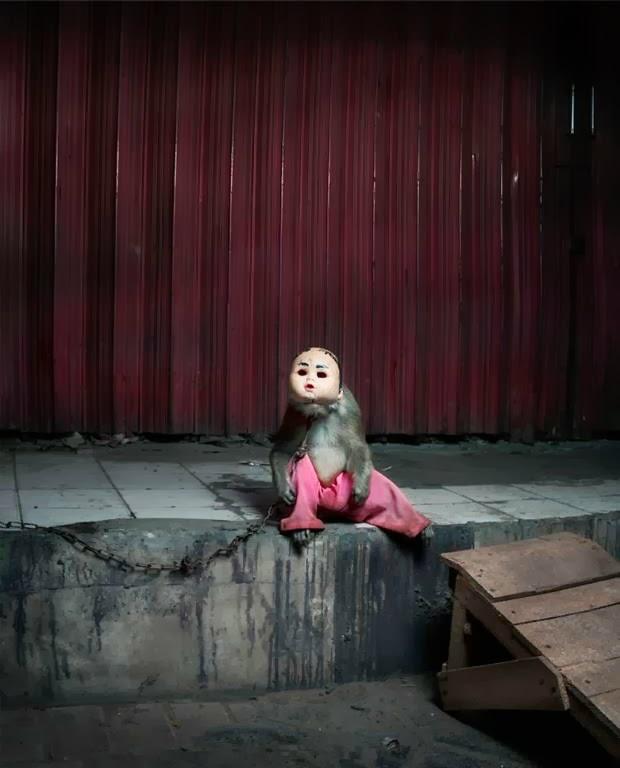 Los monos con mascaras de Indonesia