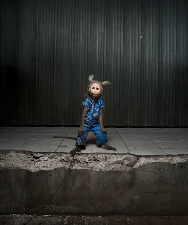 Los monos con mascaras de Indonesia