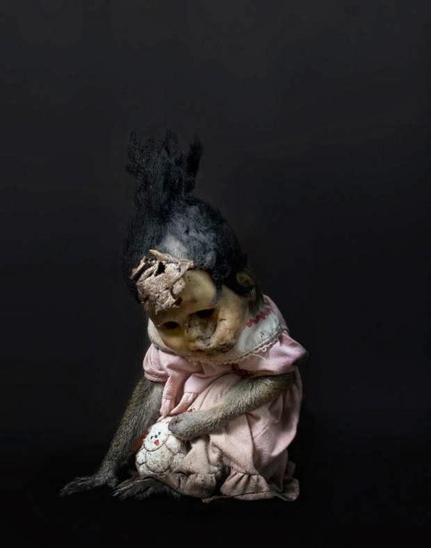 Los monos con mascaras de Indonesia