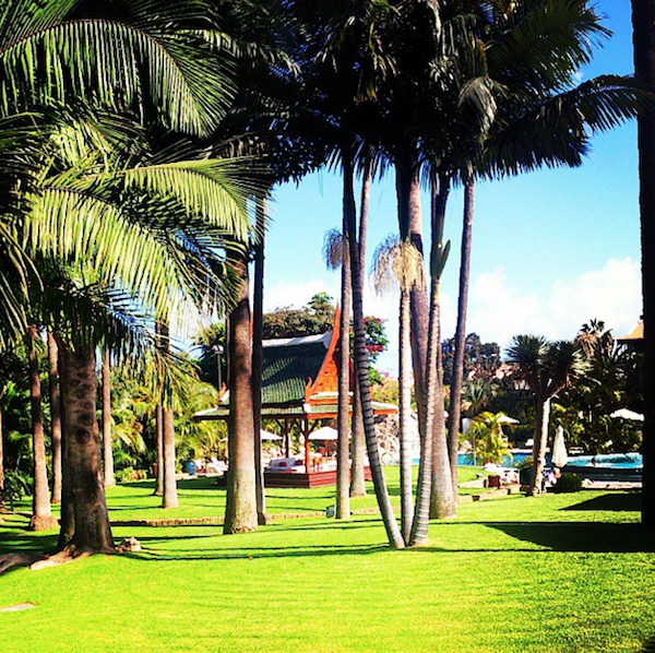 Hotel Botanico Spa Experience