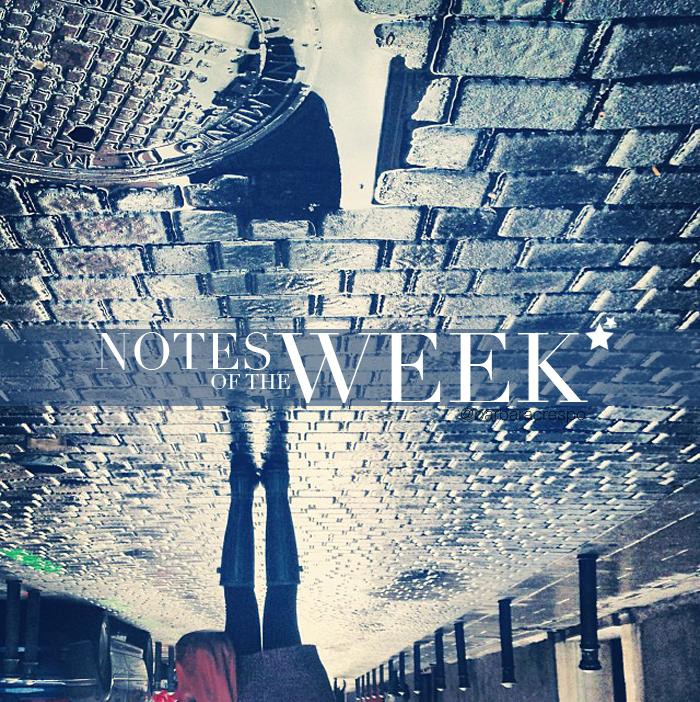 notes of the week barbara crespo tumblr instagram instavideo pics photography