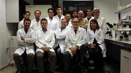 PIEL ARTIFICIAL DE CÉLULAS DEL CORDÓN UMBILICAL