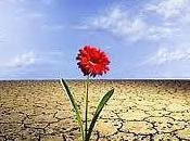 Resilencia, capacidad para salir fortalecido situaciones traumáticas