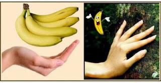 LA NATURALEZA NOS HABLA