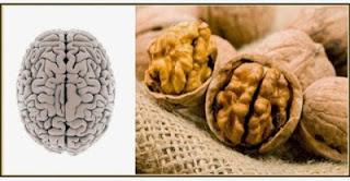 LA NATURALEZA NOS HABLA