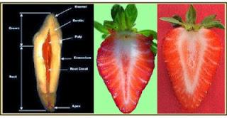 LA NATURALEZA NOS HABLA
