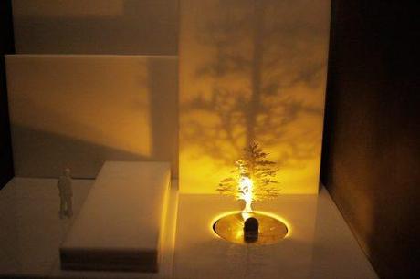 1383379_10151953593389861_533943561_n