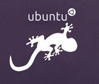 Ubuntu 13.10 Saucy Salamander 7 cosas a hacer después de instalar Ubuntu 13.10 Saucy Salamander