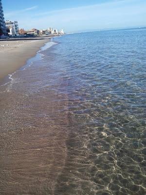 Sopa agria con albondigas - Ciorba de perisoare y (un dia de noviembre en la playa)