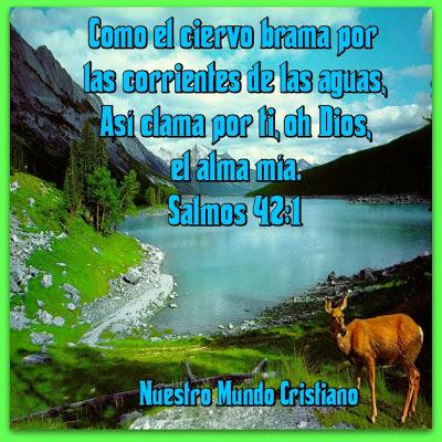 Dios revela su presencia