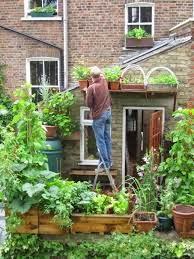 Como Cultivar Un Huerto En Casa