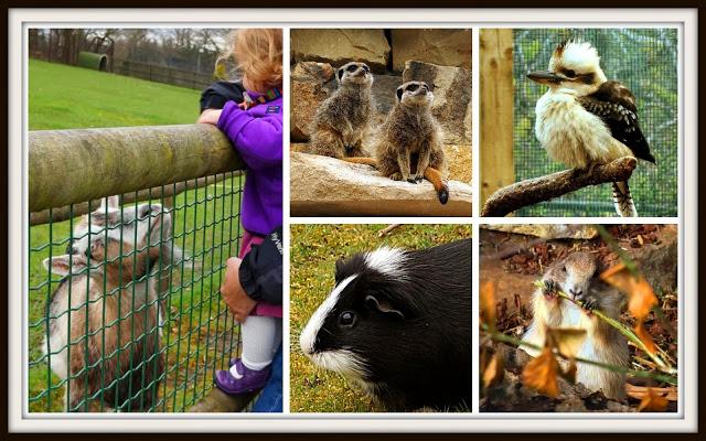 Lugares que visitar con niños: Calderglen Country Park