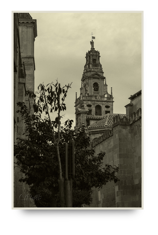 Mezquita de Córdoba -Exterior-