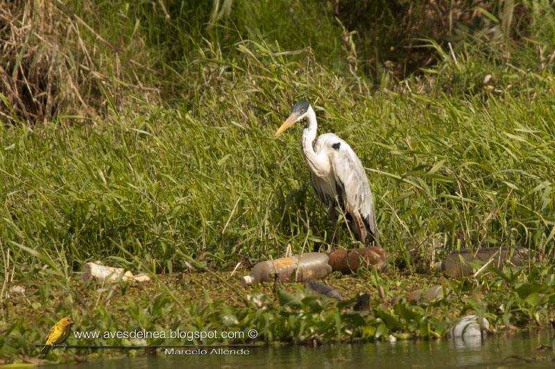 Imágenes que duelen