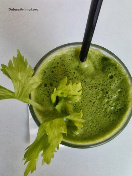 Licuado de espinacas, manzana verde y apio