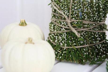 Como hacerte tu propia decoración de otoño en 2 pasos!