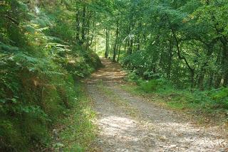 Valle del Naredo y bosque Mofusu