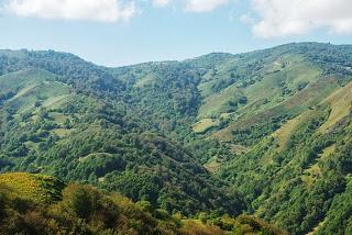 Valle del Naredo y bosque Mofusu