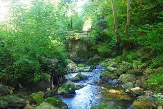 Valle del Naredo y bosque Mofusu