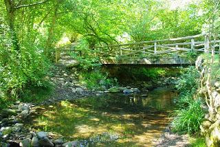 Valle del Naredo y bosque Mofusu