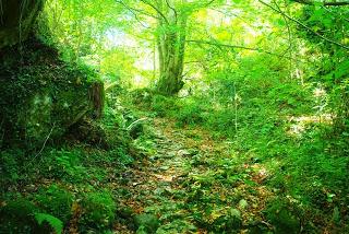 Valle del Naredo y bosque Mofusu