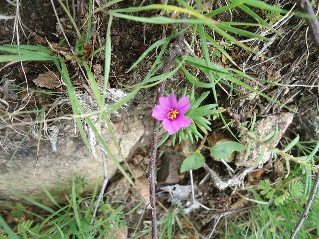 ¡Cartelera turística de Noviembre 2013/Nicaragua!