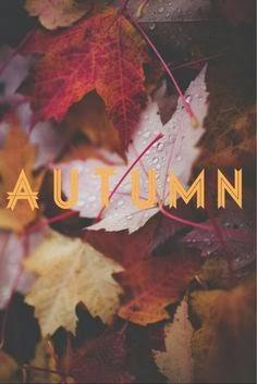IMAGENES DE OTOÑO