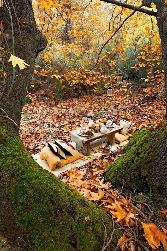 IMAGENES DE OTOÑO