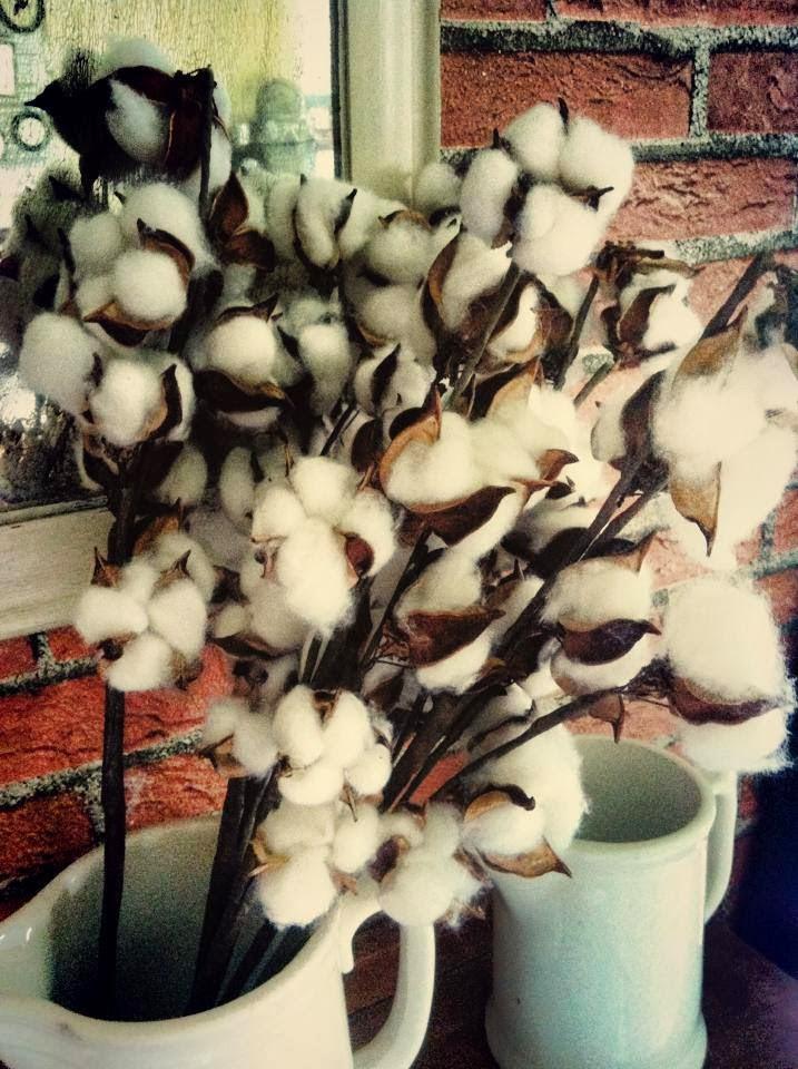 IMAGENES DE OTOÑO