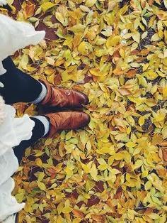 IMAGENES DE OTOÑO