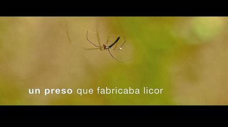 MIDBOG 15: La Gorgona, Historias Fugadas MIDBOG 15: La Gorgona, Historias Fugadas