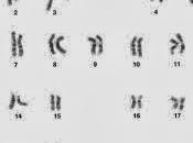 Aneuploidia