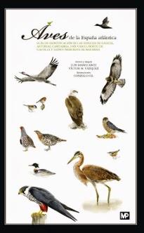 Una guía de aves para descargar.