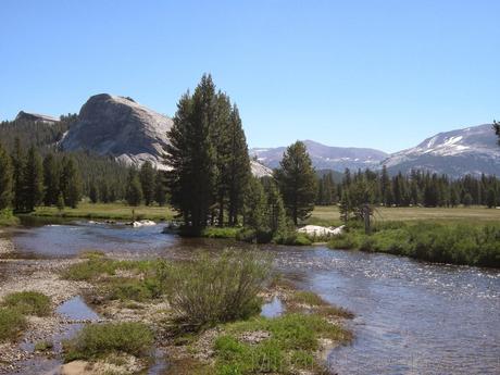 Costa Oeste de Estados Unidos: Yosemite