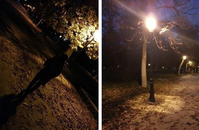 Una tarde de otoño en el retiro