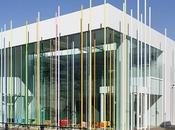 Vínculos cromáticos