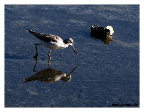 En qué se resumen 5 años de blog