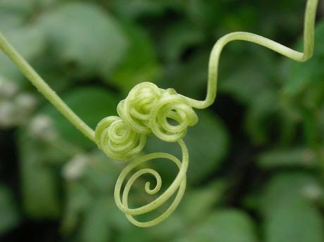 En qué se resumen 5 años de blog