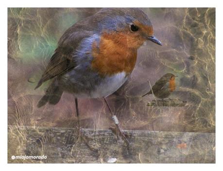 En qué se resumen 5 años de blog