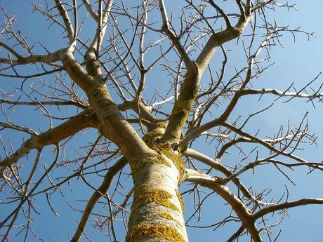 En qué se resumen 5 años de blog