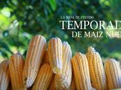 Temporada Maíz Nuevo: meses días.