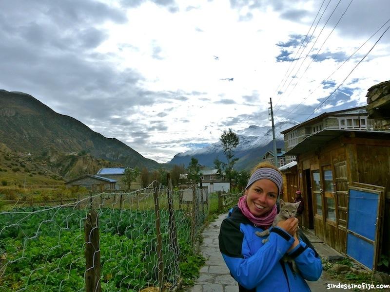 gato en Manang
