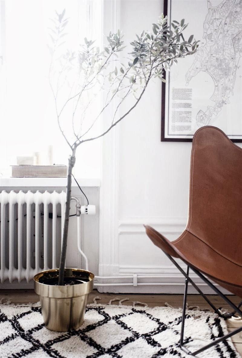 luminosidad escandinava