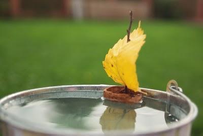 Cosas que me gustan: crafts hojas secas