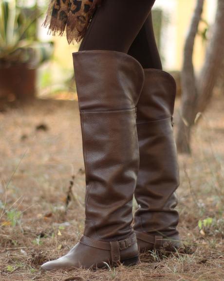 Image Hosted by ImageShack.us