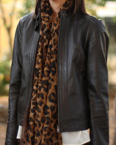 Image Hosted by ImageShack.us